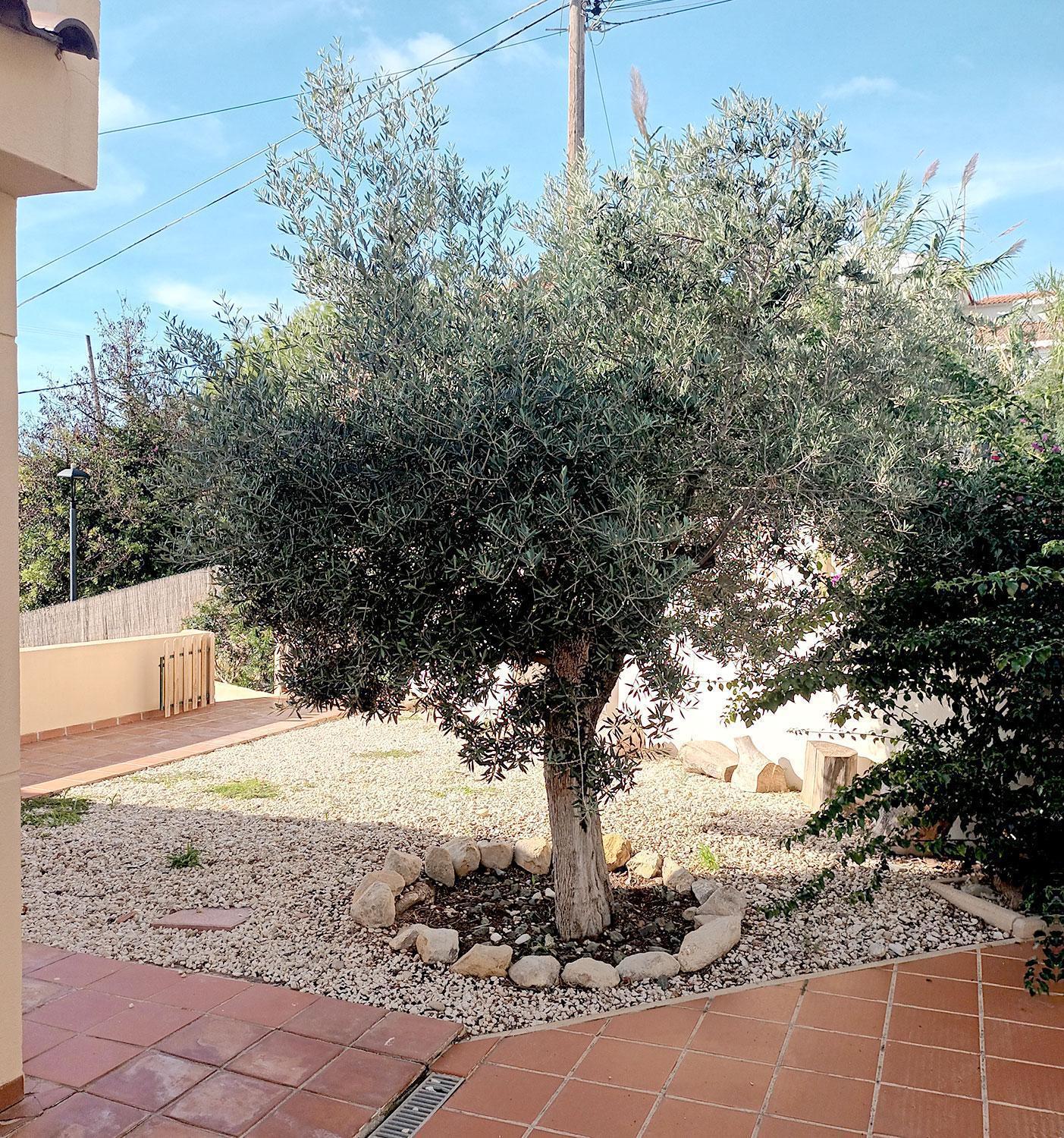 Guesthouse En Coveta Fuma- El Campello Bagian luar foto