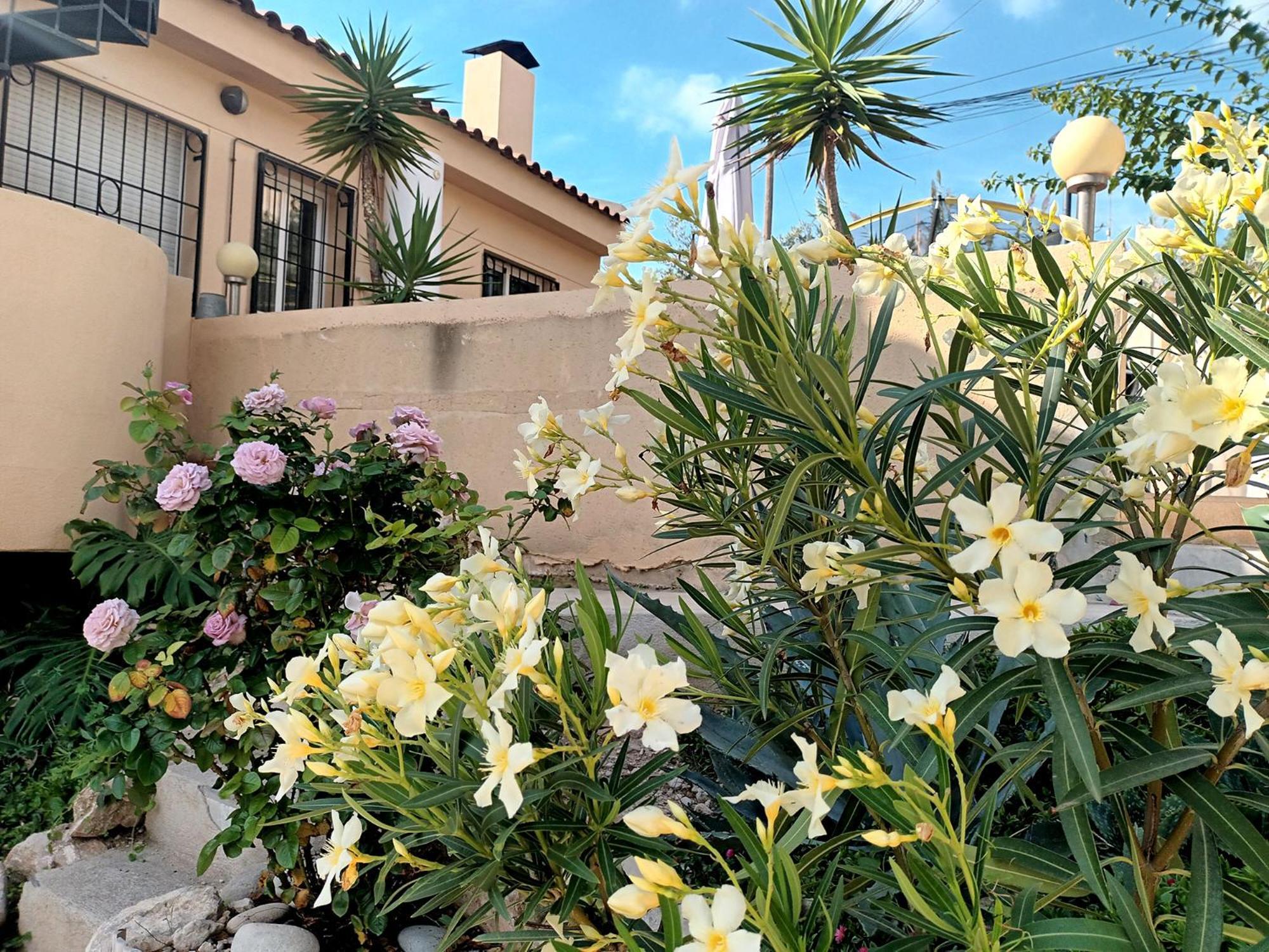 Guesthouse En Coveta Fuma- El Campello Bagian luar foto